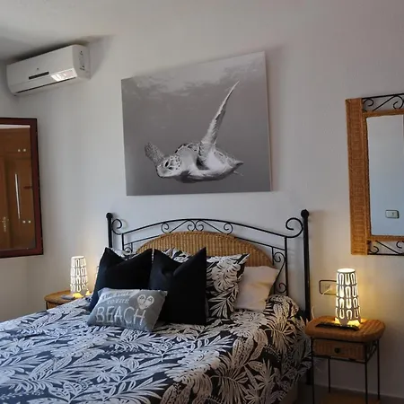 Appartement Excelente Apartamento